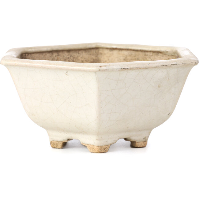 Maceta de bonsái blanca hexagonal de Hattori - 155 x 140 x 70 mm