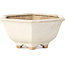 Pot à bonsaï blanc hexagonal par Hattori - 155 x 140 x 70 mm