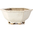 Hexagonal white bonsai pot by Hattori - 155 x 140 x 70 mm