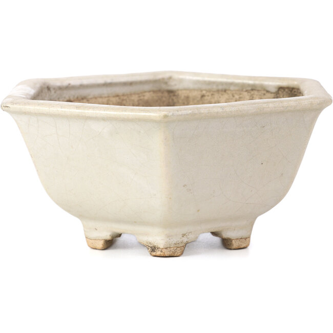 Maceta de bonsái blanca hexagonal de Hattori - 155 x 140 x 70 mm