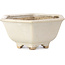 Hexagonal white bonsai pot by Hattori - 155 x 140 x 70 mm