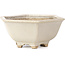 Hexagonal white bonsai pot by Hattori - 155 x 140 x 70 mm