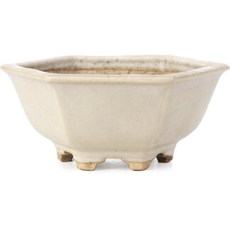  Hattori Tomoyuki 155 mm zeshoekige witte bonsaipot van Hattori, Tokoname, Japan