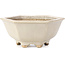 Hexagonal white bonsai pot by Hattori - 155 x 140 x 70 mm