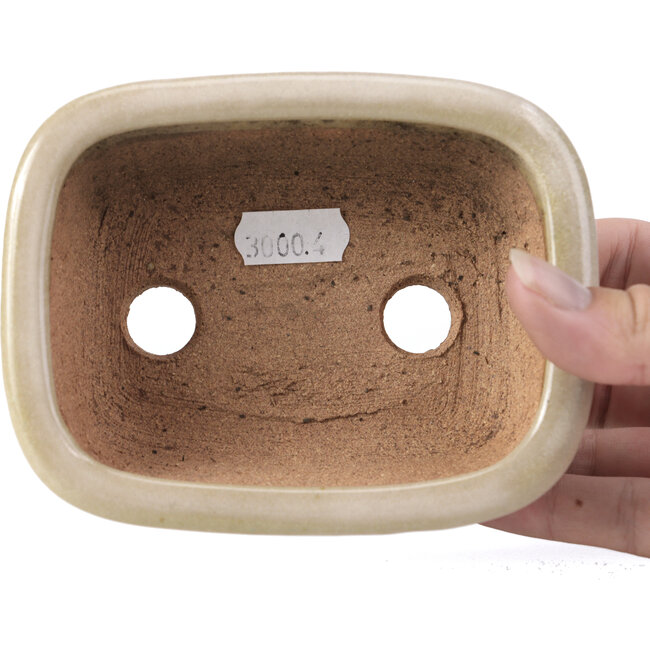 Rectangular beige bonsai pot by Hattori - 126 x 100 x 45 mm