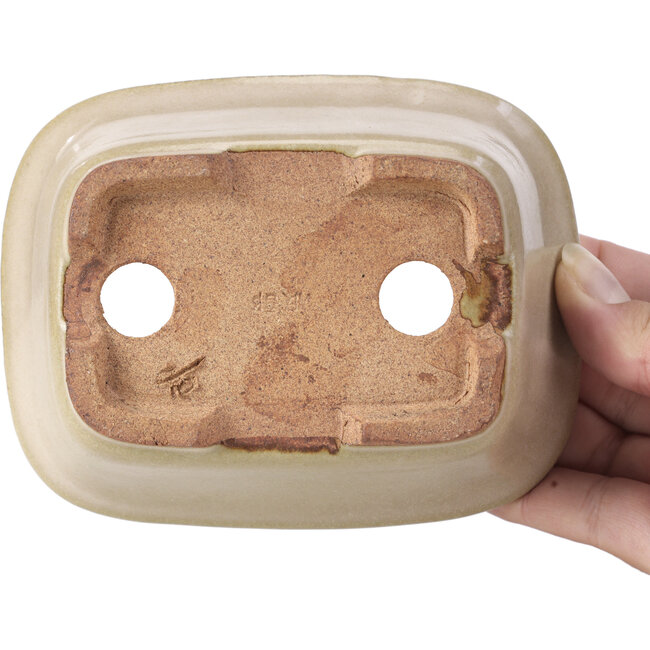 Rectangular beige bonsai pot by Hattori - 126 x 100 x 45 mm