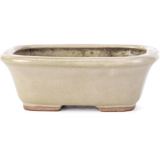 Hattori Tomoyuki 126 mm rectangular beige bonsai pot by Hattori, Tokoname, Japan