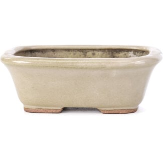  Hattori Tomoyuki 126 mm rectangular beige bonsai pot by Hattori, Tokoname, Japan