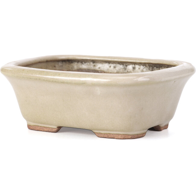 Pot à bonsaï rectangulaire beige par Hattori - 126 x 100 x 45 mm