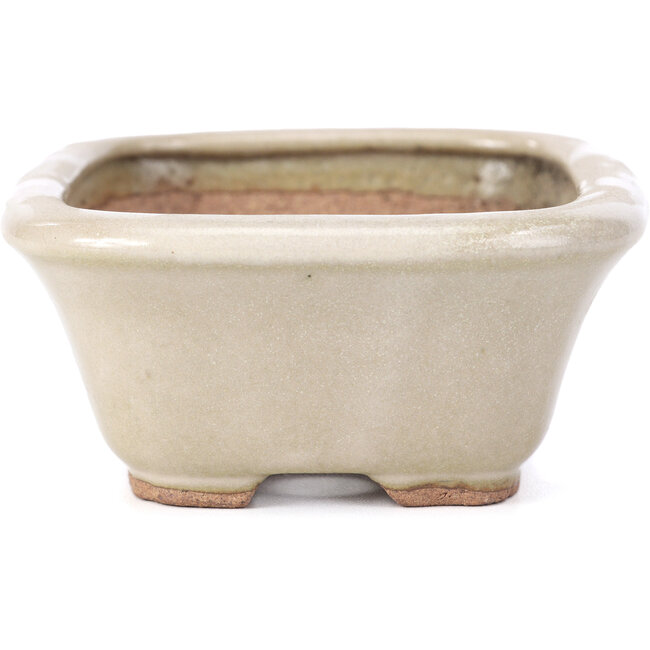 Maceta de bonsái rectangular beige de Hattori - 126 x 100 x 45 mm