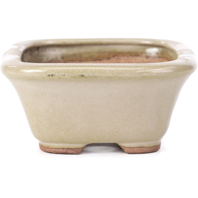 Pot à bonsaï rectangulaire beige par Hattori - 126 x 100 x 45 mm