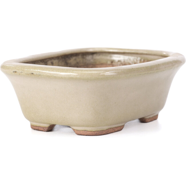 Rechthoekige beige bonsaipot van Hattori - 126 x 100 x 45 mm