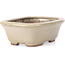 Rectangular beige bonsai pot by Hattori - 126 x 100 x 45 mm