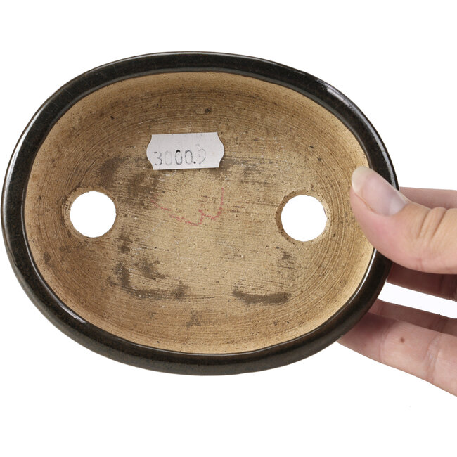 Vaso per bonsai ovale nero di Hattori - 127 x 104 x 35 mm