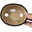 Pot à bonsaï ovale noir par Hattori - 127 x 104 x 35 mm