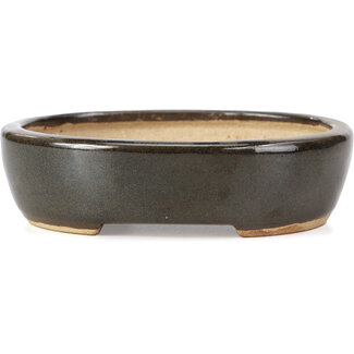  Hattori Tomoyuki 127 mm oval black bonsai pot by Hattori, Tokoname, Japan