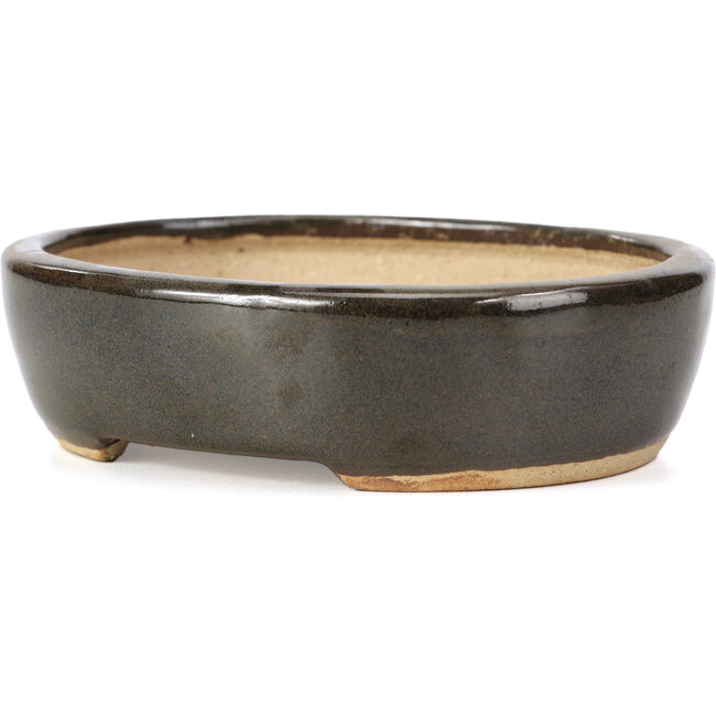 Ovale zwarte bonsaipot van Hattori - 127 x 104 x 35 mm