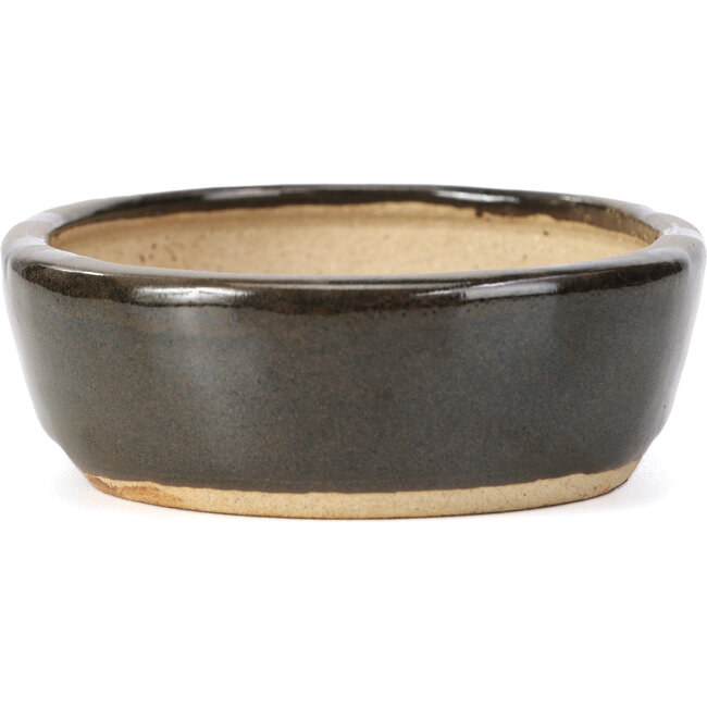 Oval black bonsai pot by Hattori - 127 x 104 x 35 mm