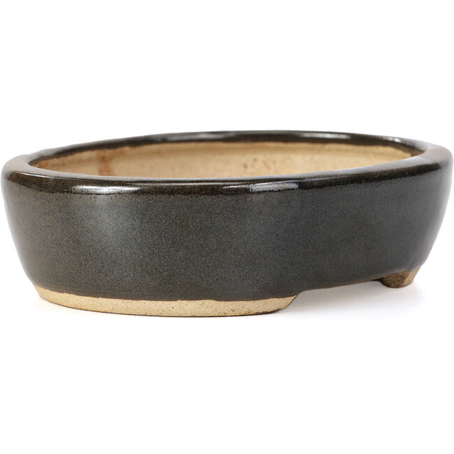 Vaso per bonsai ovale nero di Hattori - 127 x 104 x 35 mm