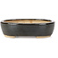 Oval black bonsai pot by Hattori - 127 x 104 x 35 mm