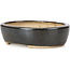 Oval black bonsai pot by Hattori - 127 x 104 x 35 mm