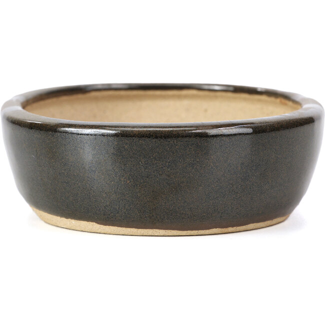 Vaso per bonsai ovale nero di Hattori - 127 x 104 x 35 mm