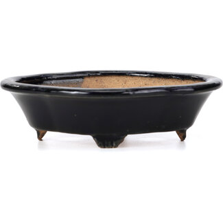 Hattori Tomoyuki Pot à bonsaï bleu mokko 133 mm par Hattori, Tokoname, Japon  Hattori Tomoyuki Pot à bonsaï bleu mokko 133 mm par Hattori, Tokoname, Japon