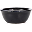 Lotus blue bonsai pot by Hattori - 128 x 128 x 38 mm