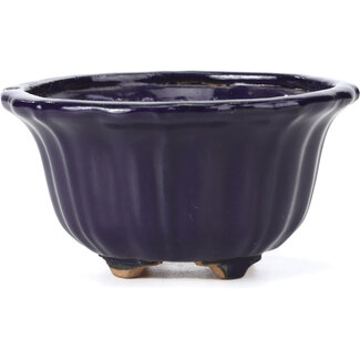  Hattori Tomoyuki 127 mm lotus blue bonsai pot by Hattori, Tokoname, Japan