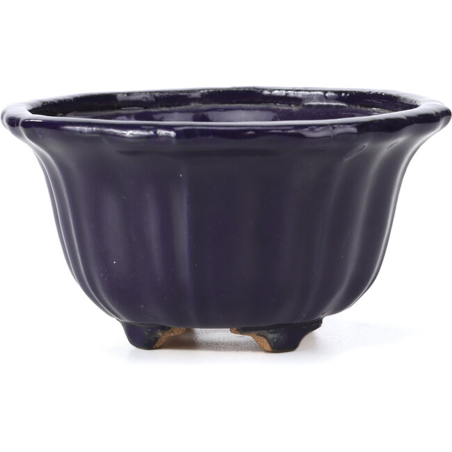 Vaso per bonsai Lotus blu di Hattori - 127 x 127 x 72 mm