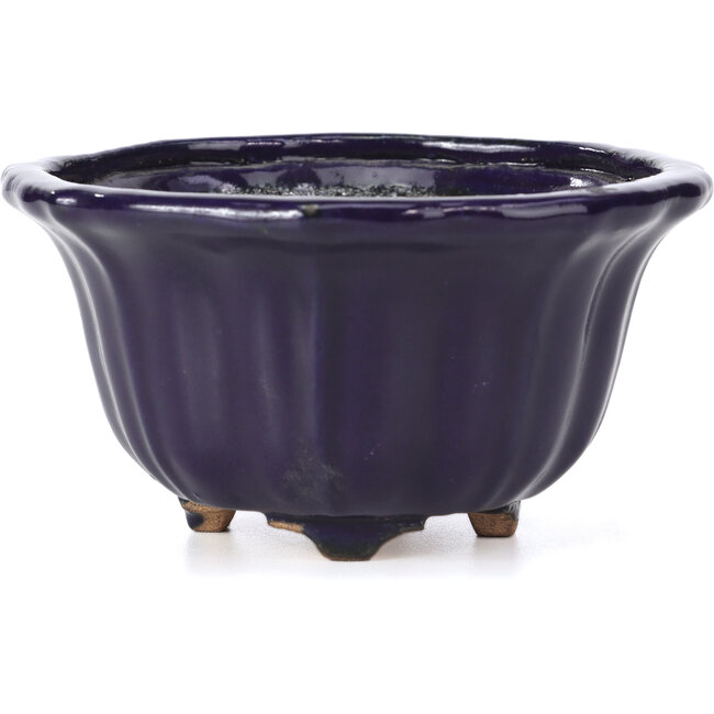 Pot à bonsaï Lotus bleu par Hattori - 127 x 127 x 72 mm