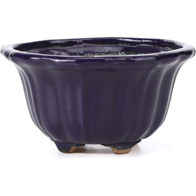 Maceta de bonsái Lotus blue de Hattori - 127 x 127 x 72 mm