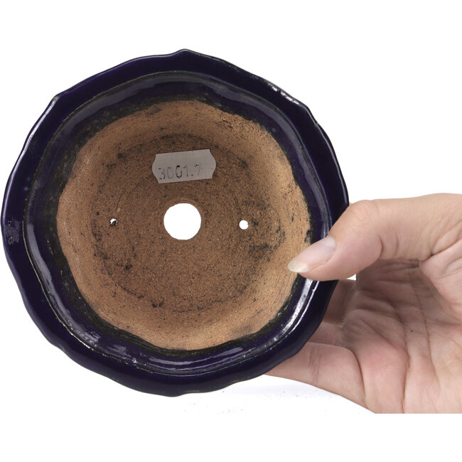 Lotus blue bonsai pot by Hattori - 127 x 127 x 72 mm