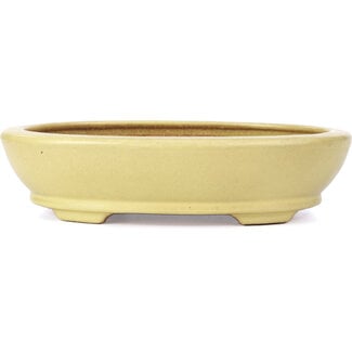 Hattori Tomoyuki 224 mm oval yellow bonsai pot by Hattori, Tokoname, Japan