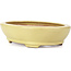 Oval yellow bonsai pot by Hattori - 224 x 167 x 45 mm