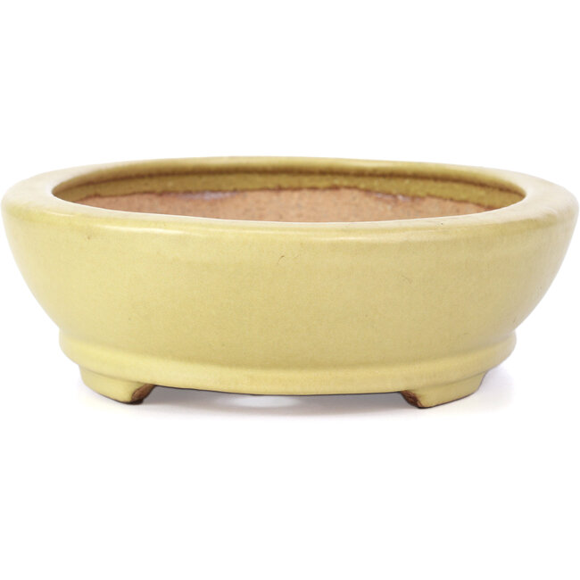 Pot à bonsaï fait à la main 23 centimètres Fabricant Hattori Tokoname, Japon Bonsai Plaza