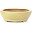 Oval yellow bonsai pot by Hattori - 224 x 167 x 45 mm