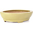 Oval yellow bonsai pot by Hattori - 224 x 167 x 45 mm