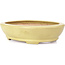 Oval yellow bonsai pot by Hattori - 224 x 167 x 45 mm