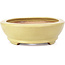 Oval yellow bonsai pot by Hattori - 224 x 167 x 45 mm