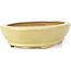 Oval yellow bonsai pot by Hattori - 224 x 167 x 45 mm