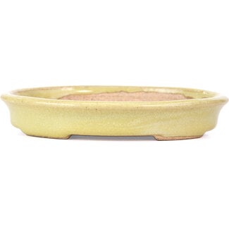 Hattori Tomoyuki 131 mm oval yellow bonsai pot by Hattori, Tokoname, Japan