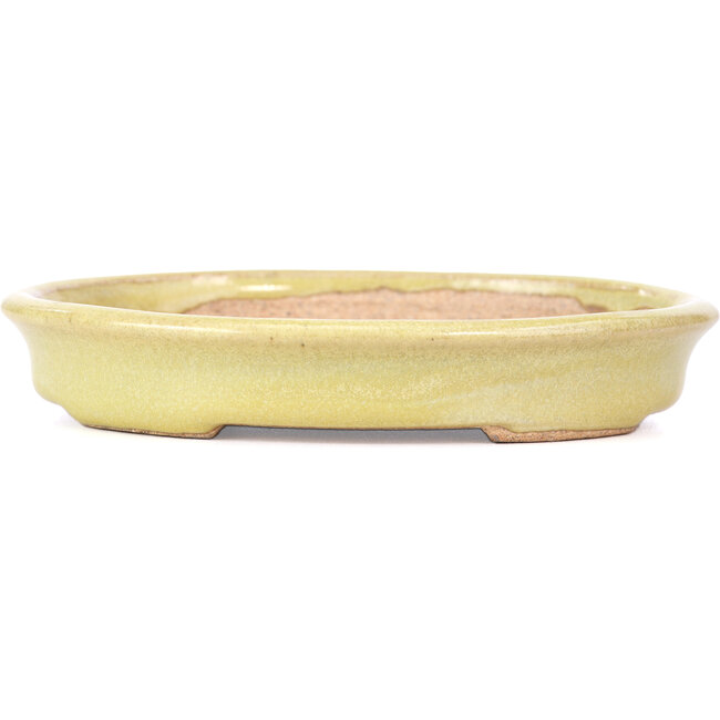 Pot à bonsaï jaune ovale par Hattori - 131 x 104 x 23 mm