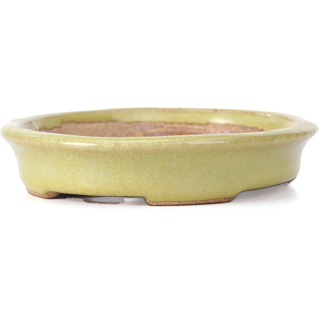 Maceta de bonsái amarilla ovalada de Hattori - 131 x 104 x 23 mm