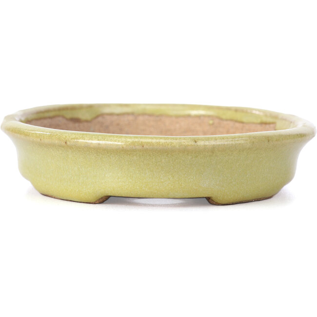 Oval yellow bonsai pot by Hattori - 131 x 104 x 23 mm