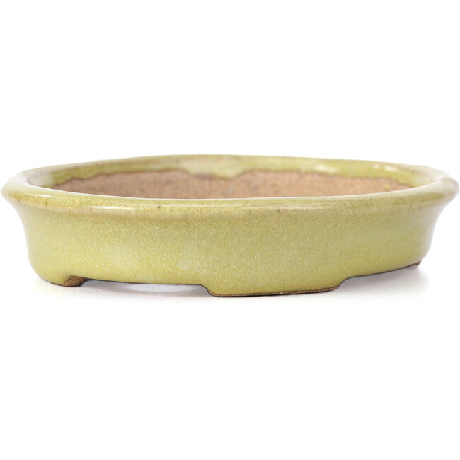 Oval yellow bonsai pot by Hattori - 131 x 104 x 23 mm