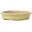 Oval yellow bonsai pot by Hattori - 131 x 104 x 23 mm