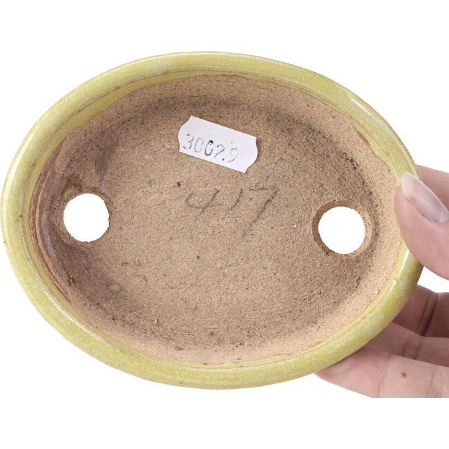 Pot à bonsaï jaune ovale par Hattori - 131 x 104 x 23 mm