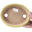 Oval yellow bonsai pot by Hattori - 131 x 104 x 23 mm