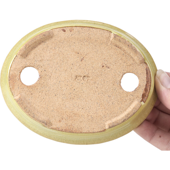 Maceta de bonsái amarilla rectangular de Hattori - 128 x 90 x 25 mm